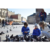 Playing with pigeons